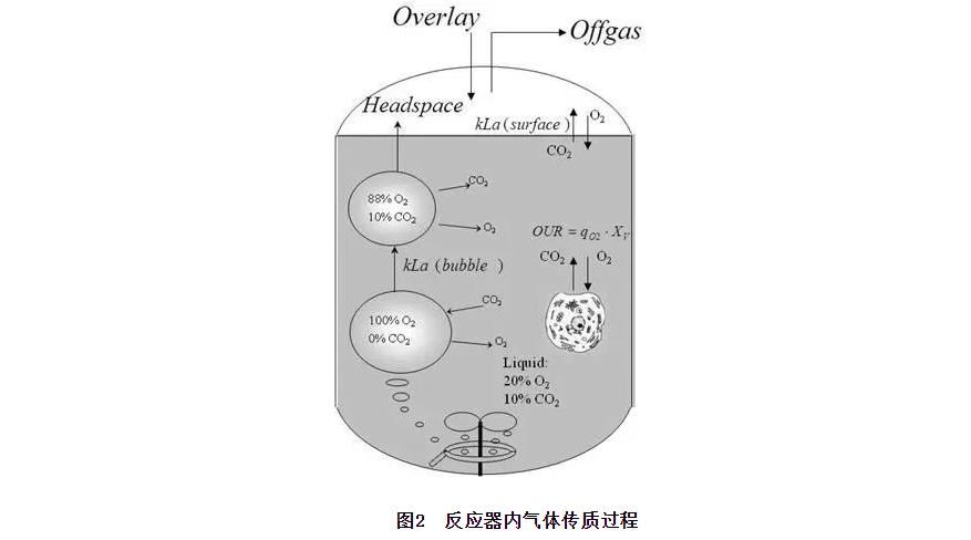 1661826038924814.jpg 图层-5.jpg