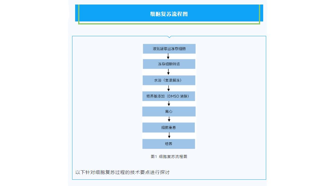 1661914836876968.jpg 图层-36.jpg